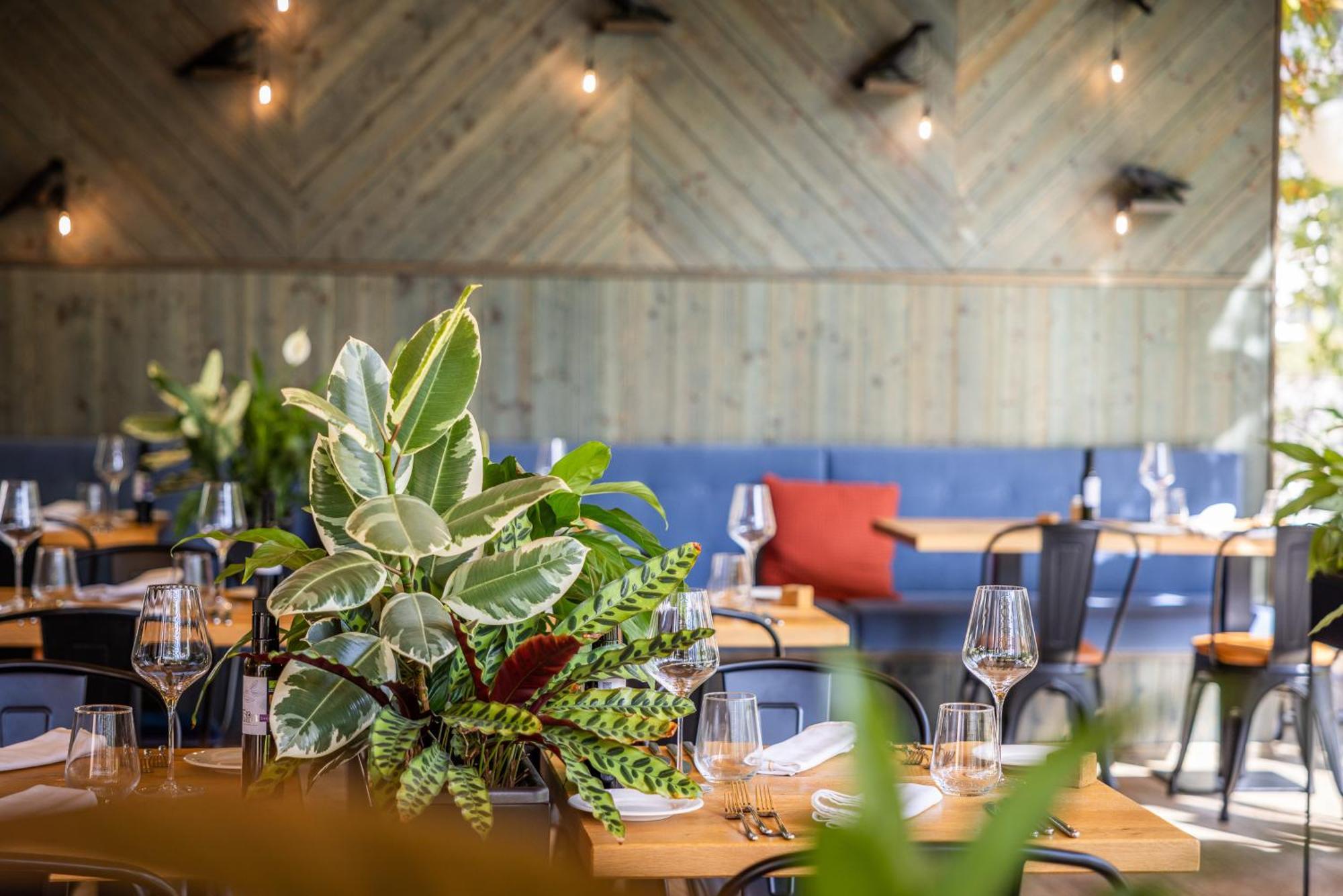 Boutique Hotel Sunrose 7 - Gourmet & Spa (Adults Only) Bohinj Eksteriør bilde
